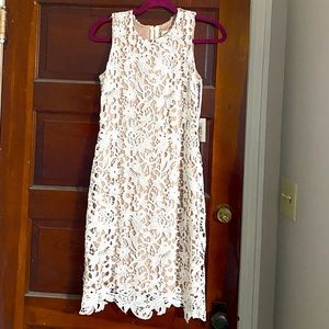 Calvin Klein Lace Dress